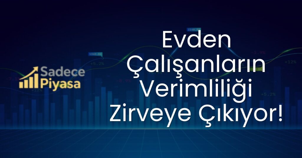 uzaktan çalışma