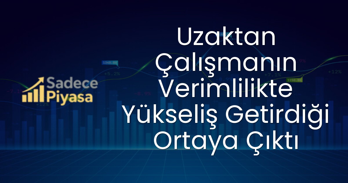 Uzaktan Çalışmanın Verimlilikte Yükseliş Getirdiği Ortaya Çıktı