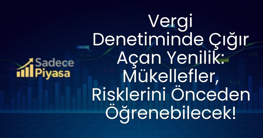 Vergi Denetimi