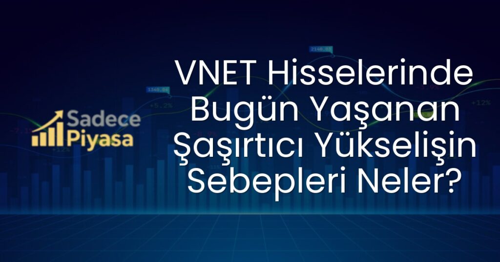 VNET hissesi