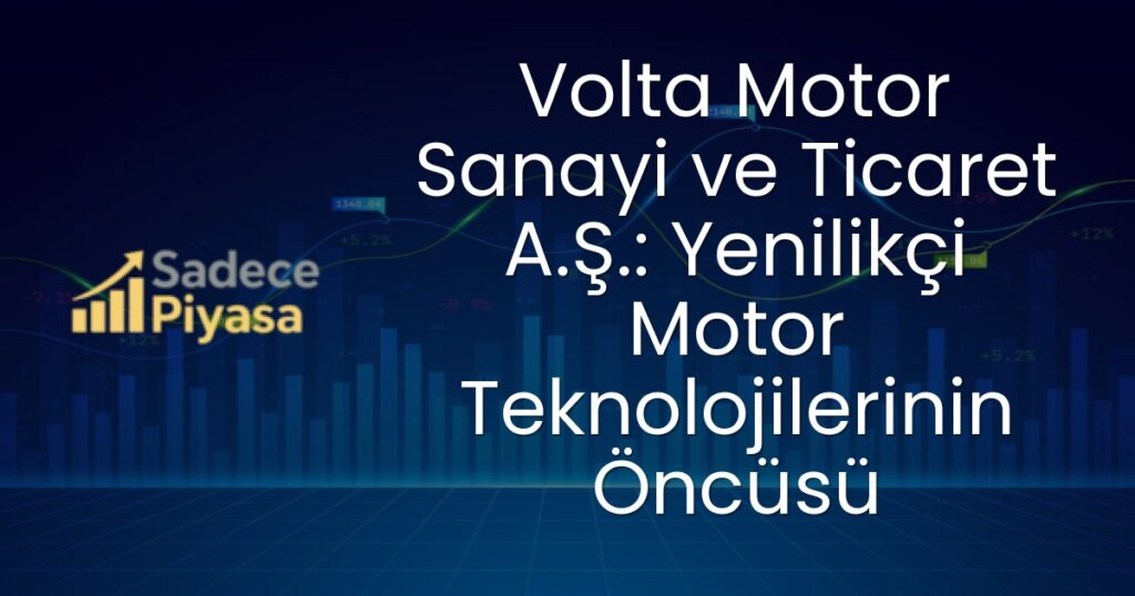 Volta Motor Sanayi ve Ticaret A.Ş.