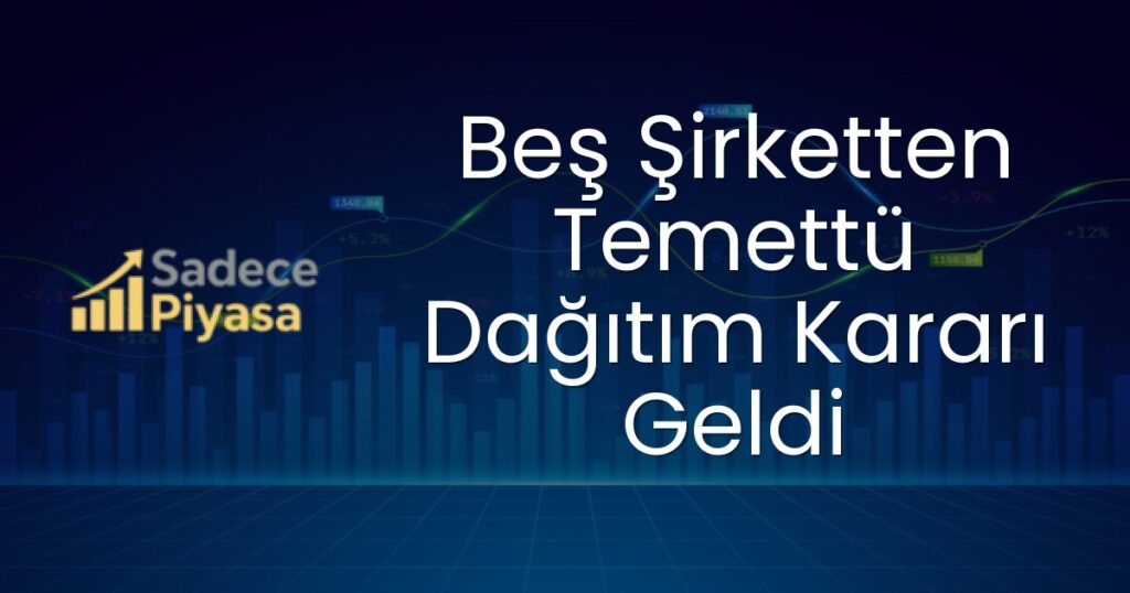 Yiğit Akü