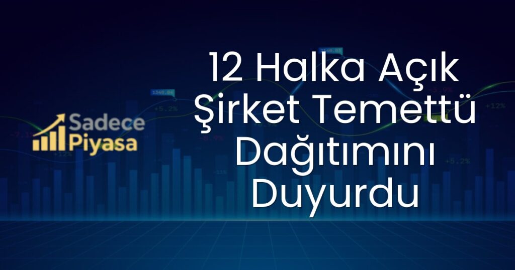 Yiğit Akü Malzemeleri